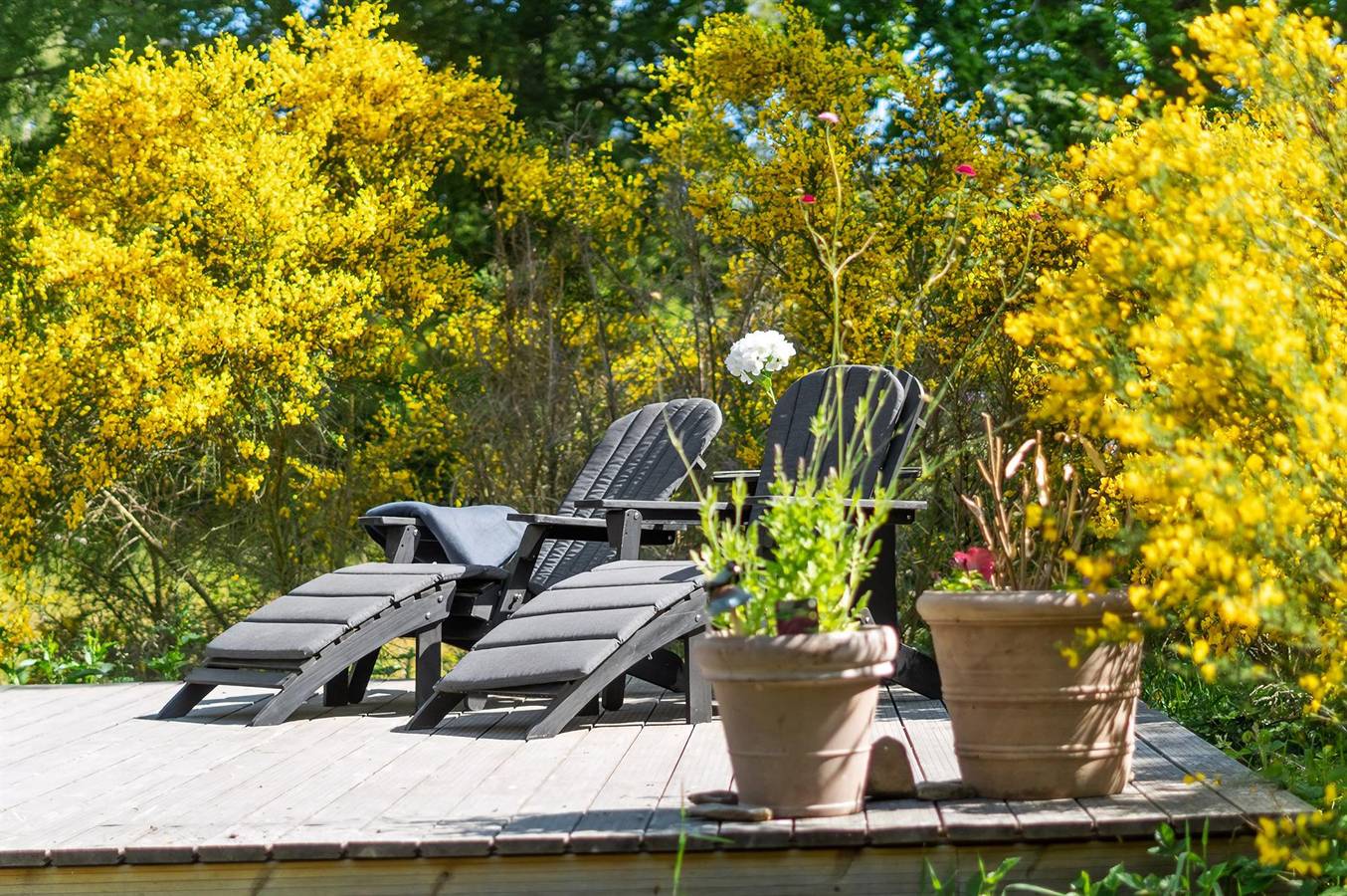 3 bedroom pet friendly home in Nexø in Dueodde, Bornholm