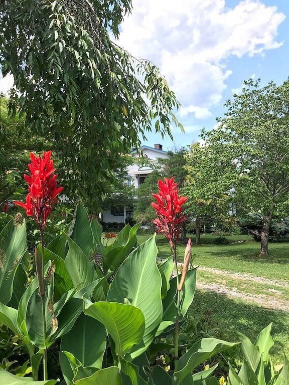 Bed and breakfast for 2 people, with yard in Tennessee