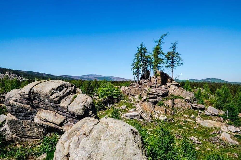 Hexenhaus im Jagdhof - Familienurlaub im Wald am Brocken - Carlshäuser im Harz in Wernigerode, Harzvorland