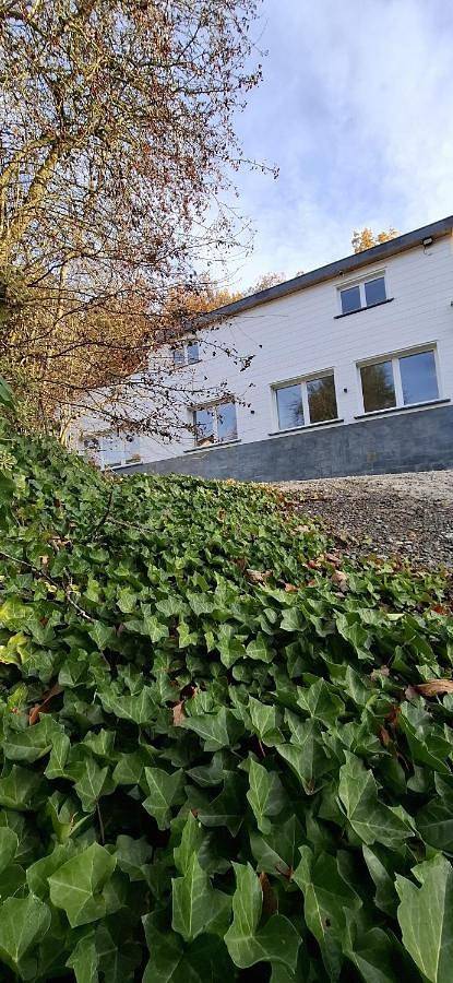 Location de vacances pour 9 personnes, avec terrasse ainsi que jardin et jacuzzi, animaux acceptés dans Tavigny - 4