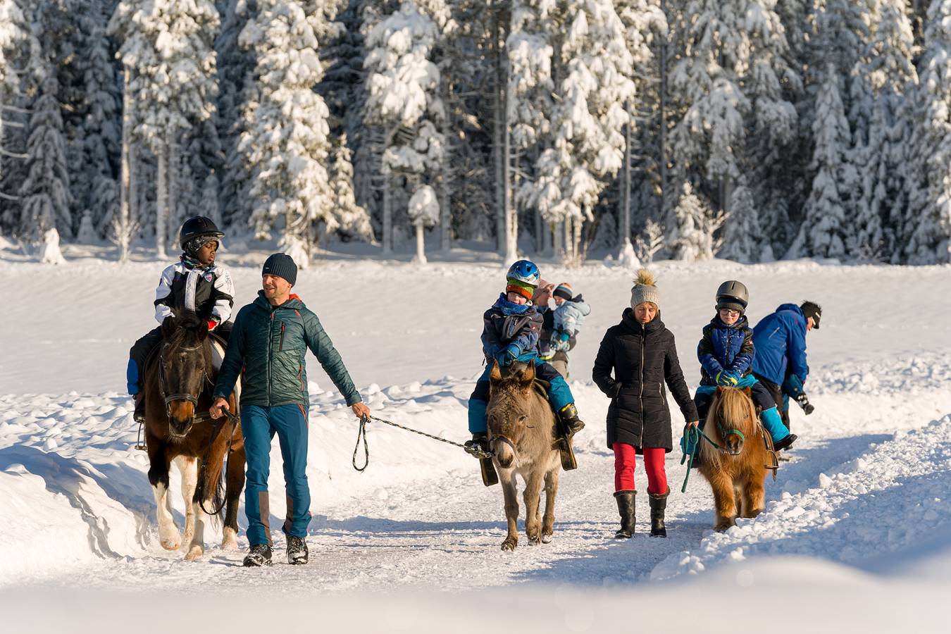 Ganze Ferienwohnung, Bio-Kinderbauernhof Wilmershof - Ferienwohnung Piepmatz, 28qm, 1 Schlafzimmer, max. 3 Personen in Schwärzenbach, Titisee-Neustadt