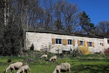 Gîte pour 8 personnes, avec jardin à Montredon-Labessonnié