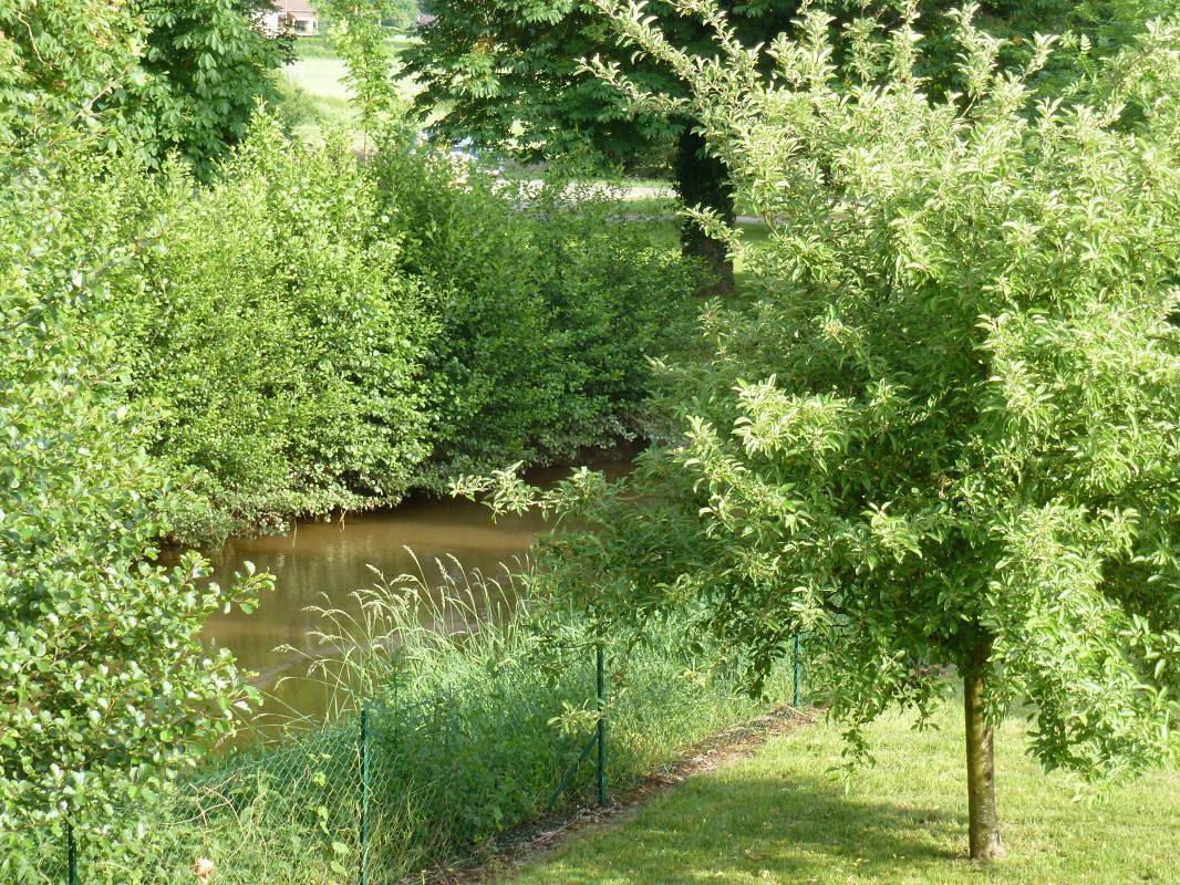 Au bord de la Gande in Salornay-sur-Guye, Région de Mâcon