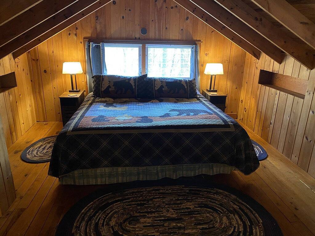 Buck's Cabin near Brevard, Nc Dog Friendly Wood stove, mtn views in forest. in Transylvania County