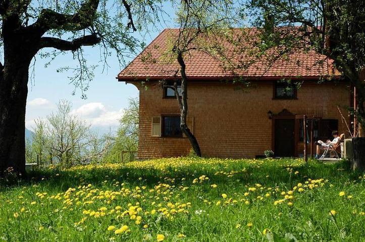 Ferienhaus für 9 Personen, mit Garten und Terrasse, kinderfreundlich in Österreich - 3