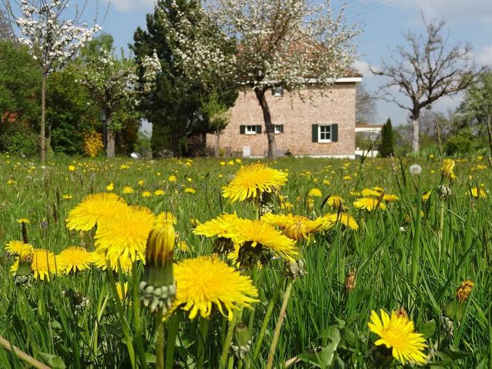 Ferienwohnung für 8 Personen, mit Garten und Pool sowie Balkon im Allgäu - 2