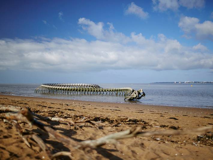 Gîte pour 3 personnes, avec terrasse dans Saint-Brévin l'Océan - 4