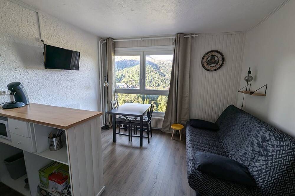 Entire apartment, Renovated studio with Wifi, pets allowed in Le Lioran, Laveissière