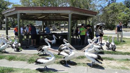 Holiday Apartment for 4 People in Nelson Bay, Hunter Valley, Photo 1