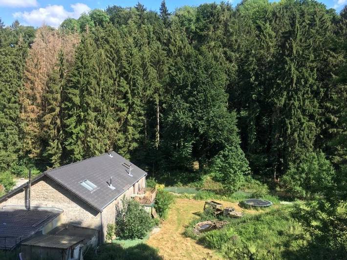 Maison de vacances pour 4 personnes, avec vue ainsi que sauna et jardin