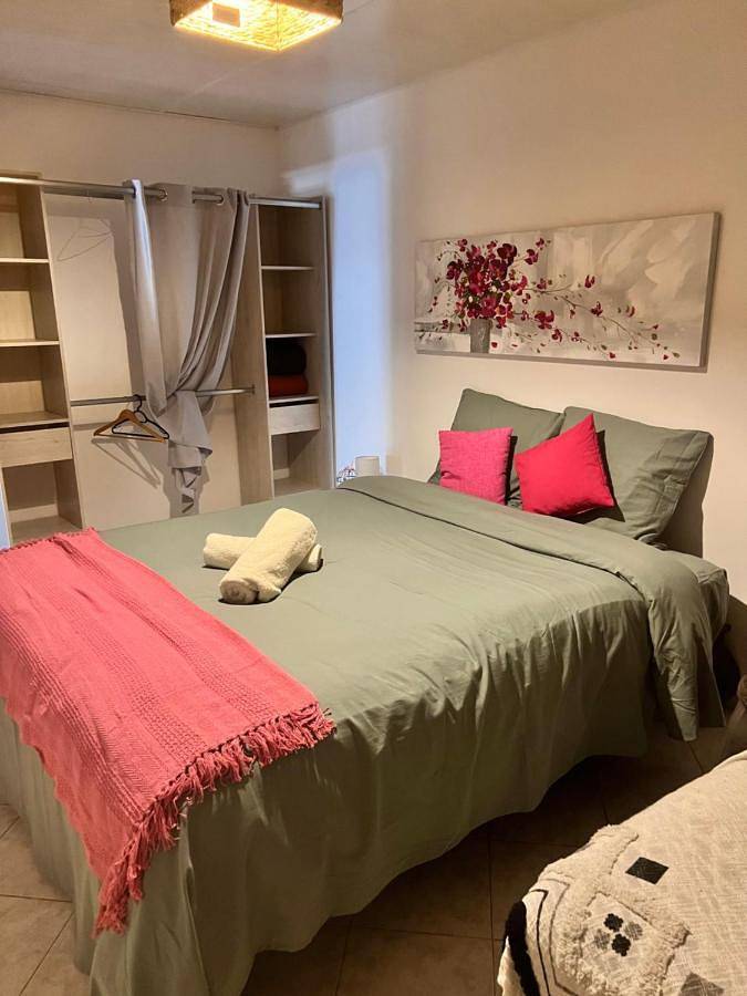 Location de vacances pour 10 personnes, avec jardin et jacuzzi à Salazie - 4