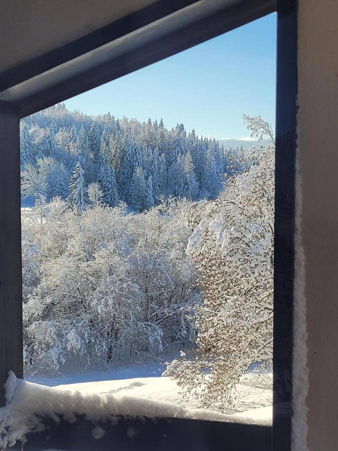 Chalet pour 5 personnes, avec jardin et vue à Les Rousses - 3