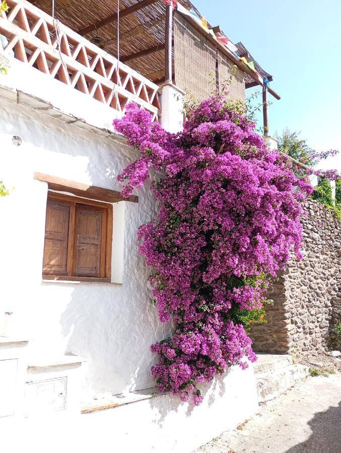 Apartamento para 5 personas, con jardín y vistas en La Taha