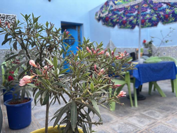 Location de vacances pour 4 personnes, avec vue sur l’océan ainsi que vue et balcon/terrasse au Maroc - 3