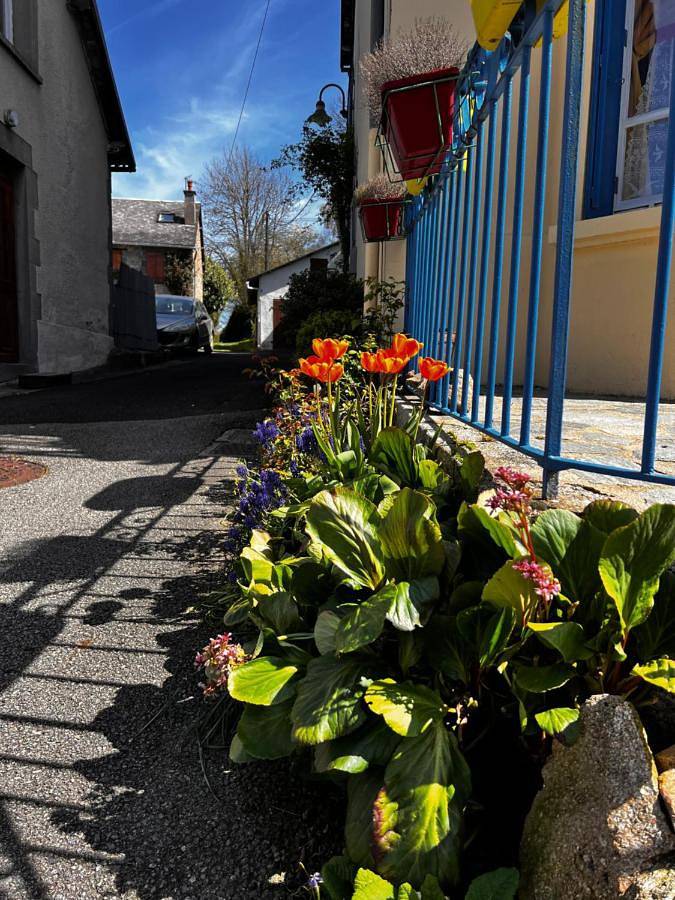 Location de vacances pour 2 personnes, avec vue et jardin, animaux acceptés à Giat - 3