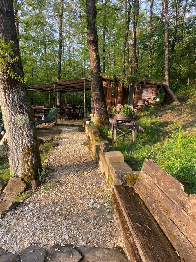 Twin Room with Shared Bathroom in Castiglione dei Pepoli, Alta Via dei Parchi