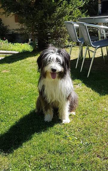 Bauernhof für 5 Personen in Marbach, Westalpen, Bild 1