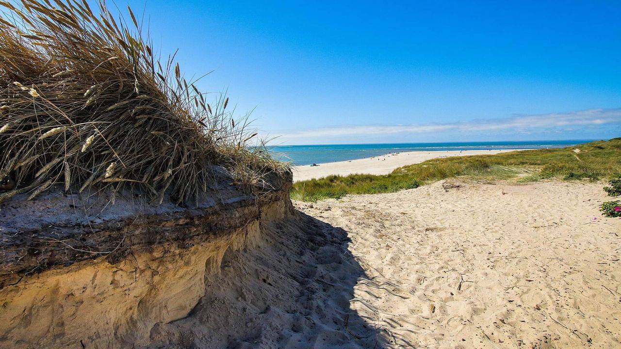 Ferienhaus für 8 Personen (139 m²) in Blåvand in Blavand, Varde