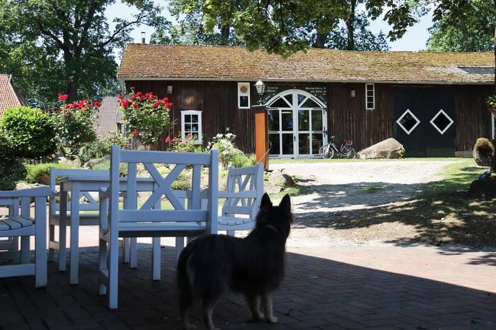Ferienhaus für 2 Personen, mit Terrasse und Garten sowie Pool in Bergen (Niedersachsen) - 4