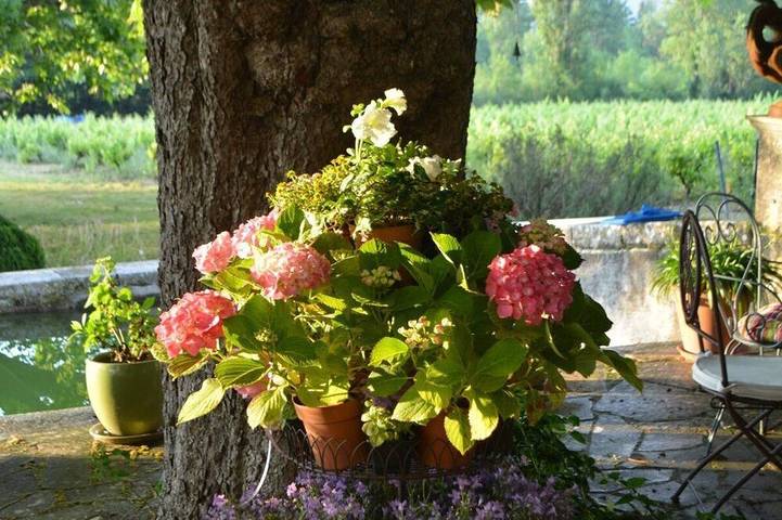 B&b Authentique Bastide typiquement Provençale in Brignoles, Région de Brignoles
