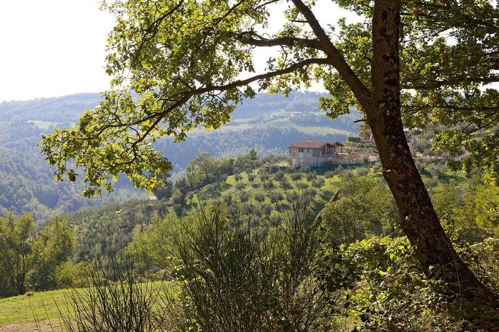 Villa pour 16 personnes, avec jardin et jacuzzi, animaux acceptés - 1