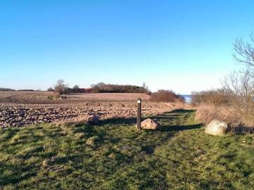 Ferieudlejning til 8 Personer i Marielyst, Lolland-Falster, Billede 1