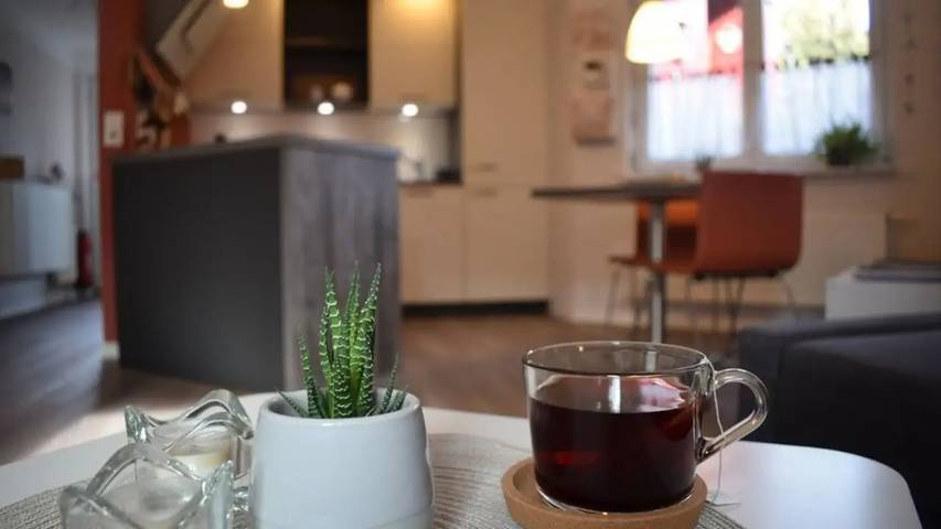 Ferienwohnung für 3 Personen, mit Terrasse in Kehl - 4