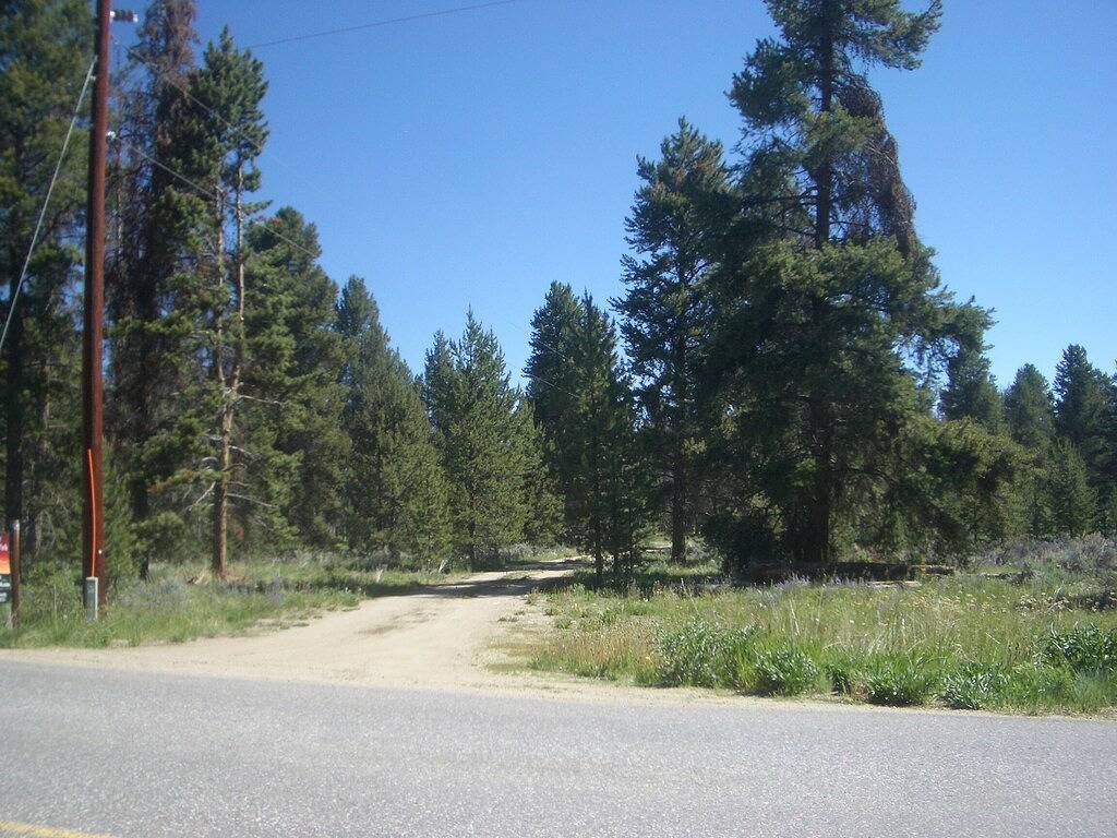 Private Kabine, Whirlpool, 3 Meilen von Fraser, 2 Betten, W / D, Garage in Fraser, Arapaho and Roosevelt National Forests
