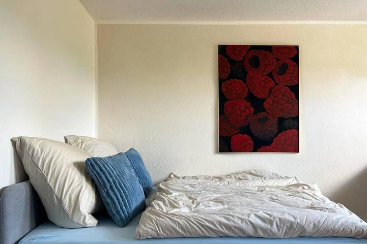 Ganze Wohnung, Helle und frabenfrohe Ferienwohnung in Soest, Kreis Soest