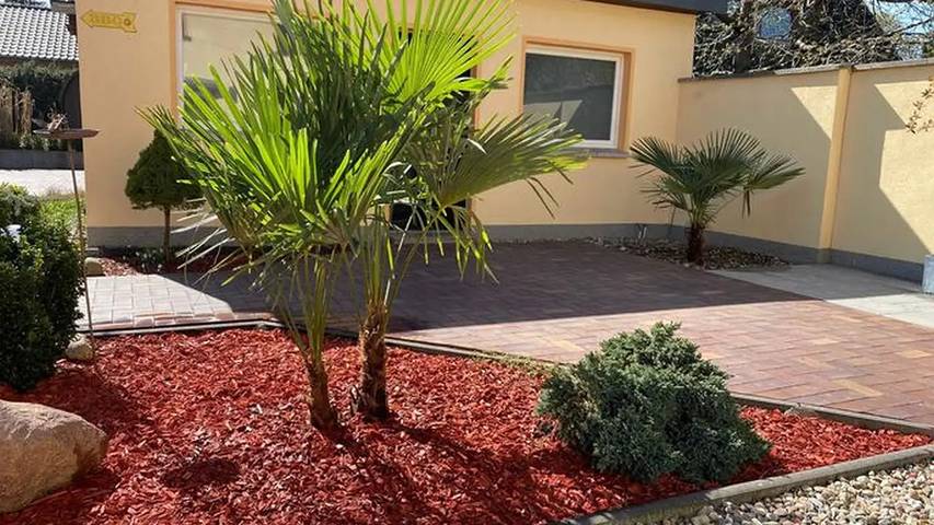 Ferienhaus für 7 Personen, mit Garten am Plauer See - 4