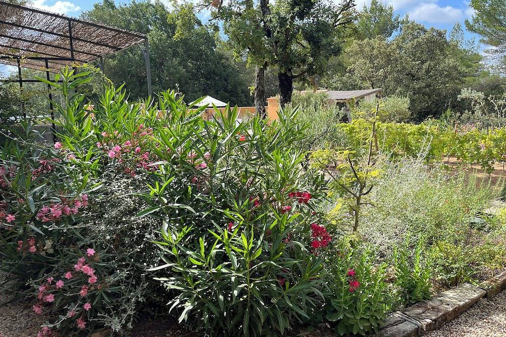 Sud Luberon,  en Provence, la maison de Lily in Grambois, Parc naturel régional du Luberon