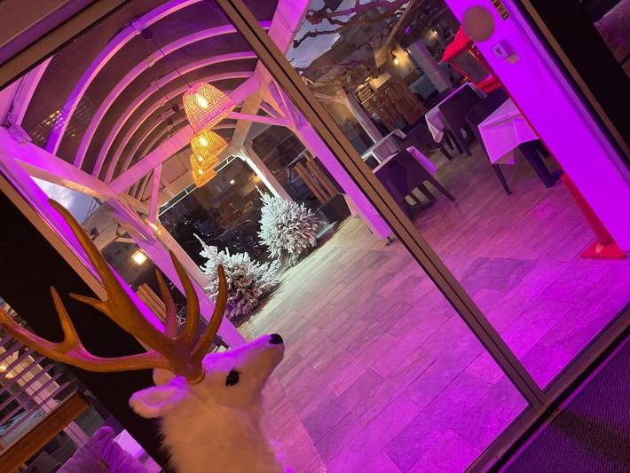 Hôtel pour 3 personnes, avec terrasse, animaux acceptés