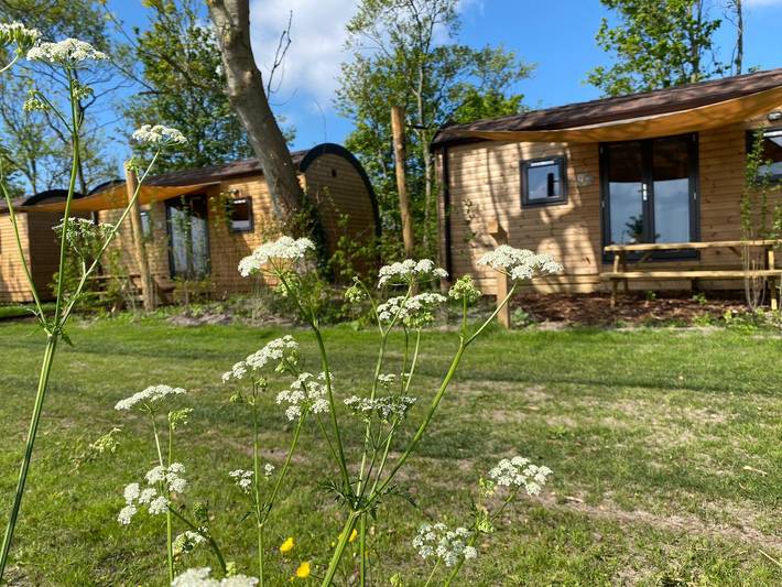 Ferienhaus für 4 Personen, mit Seeblick in Petten - 3