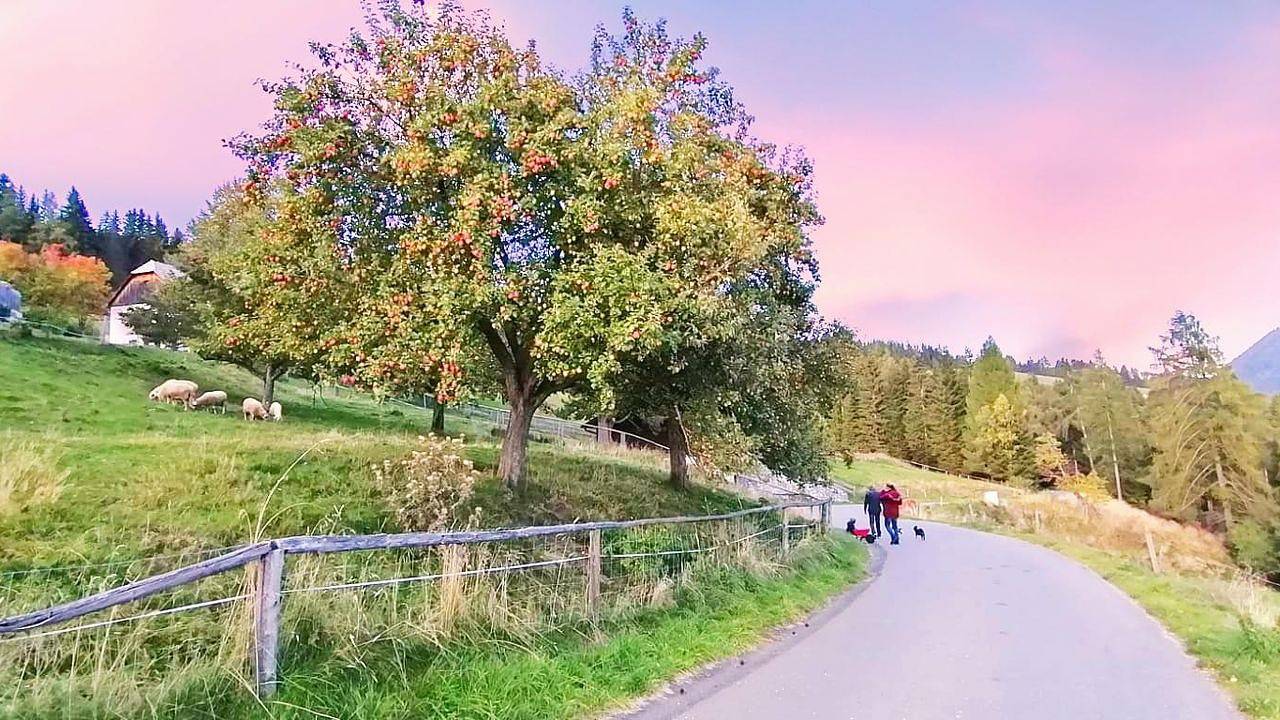 Ganze Ferienwohnung, Ferienwohnung für 6 Personen in Sankt Lambrecht in St. Lambrecht, Westliche Obersteiermark