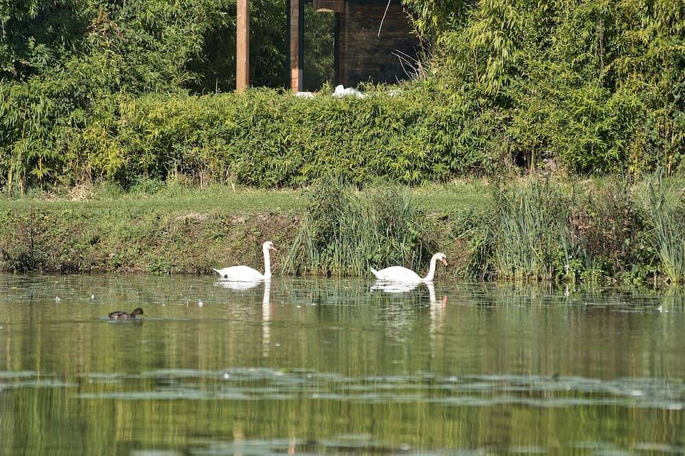 Escapade luxe avec bain nordique au bord du canal in Montcresson, Région de Montargis