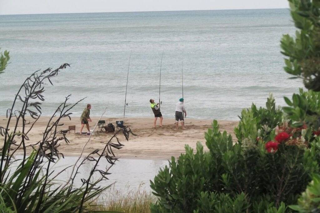 Ozean-Front Strandhaus mit warmer Außendusche. in Wellington