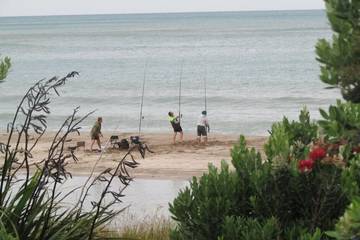 Vacation House for 6 Guests in Wellington, Picture 1