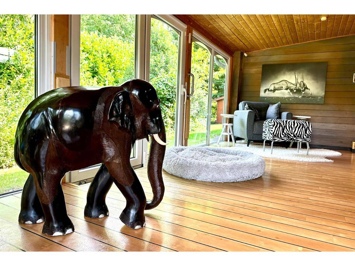 Lodge of Africa - einzigartige Themenzimmer, eingezäunten Garten, Sauna, Whirlpool & Kamin, Hunde willkommen, Gasgrill, voll ausgestattete Küche, großer Essbereich, Hamburg & Stade in der Nähe in Hollern-Twielenfleth, Cuxland
