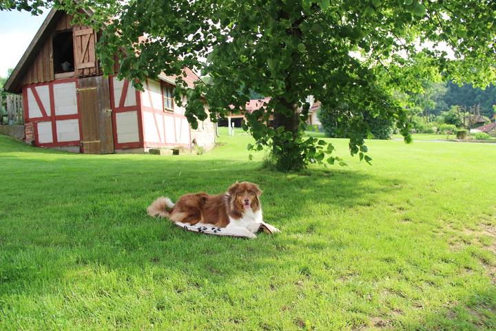 Ferienhaus für 4 Personen an der Rhön - 4