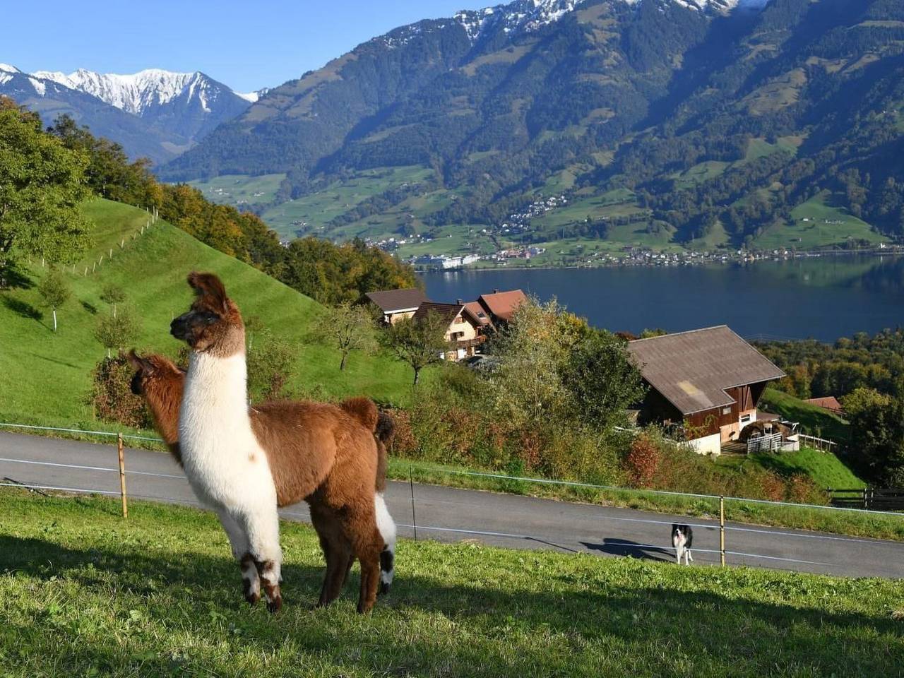 Holzhaus auf Lamahof in Sarnen, Obwalden