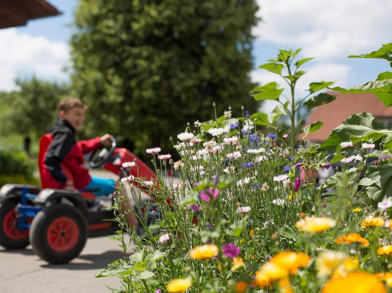 Ganze Ferienwohnung, Alfreds Ferienbauernhof - Ferienwohnung Abendsonne, 90 Qm in Wangen, Württembergisches Allgäu