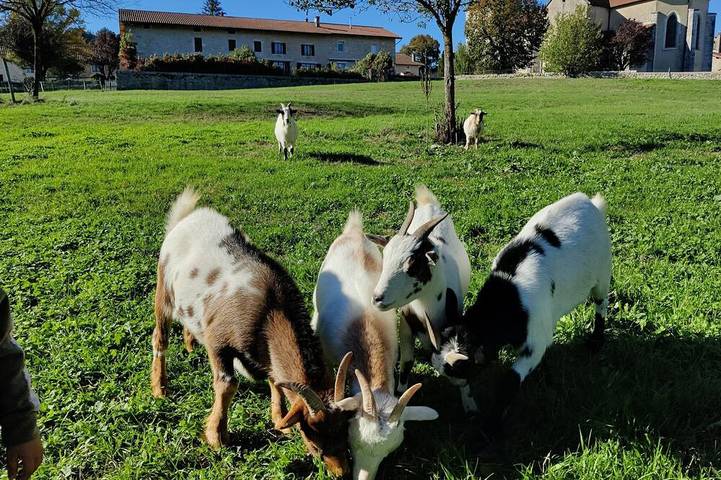 Gîte pour 15 personnes à Aromas