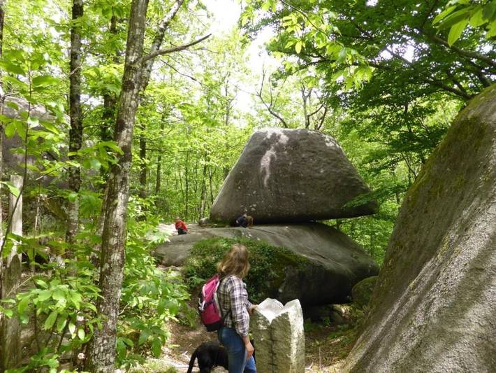 Chalet pour 6 personnes, avec bassin pour enfant dans le Tarn - 4