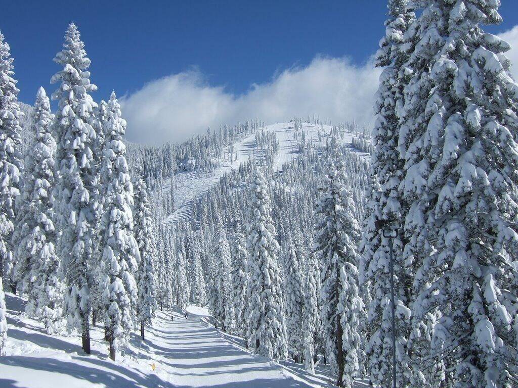 Beautiful Country House in Shasta Lake