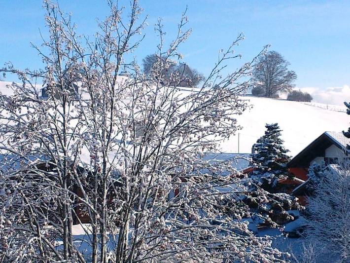 Morgentau - Rosenhof-Allgäu in Görisried, Bayerisch Schwaben