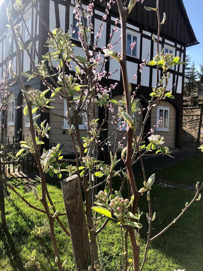 Ferienhaus für 8 Personen, mit Ausblick und Garten in Großschönau - 2