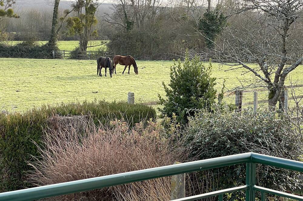 Parc du Perche Orne -maison indépendante 4 personnes au cœur d'un village vivant in Condé-sur-Huisne, Parc naturel régional du Perche