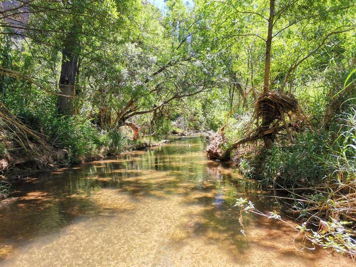 Casa rural para 4 personas, con jardín y vistas, Se admiten mascotas en Ayna - 2