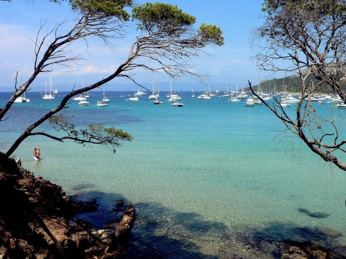Appartement entier, Maison de pêcheur à Porquerolles in Hyeres, Côte méditerranéenne (France)
