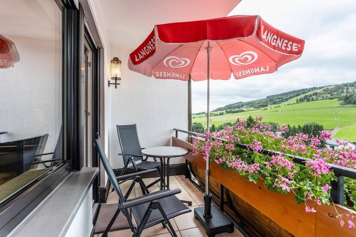 Vacation rental for 4 people, with balcony and sauna, with pets in Hesse
